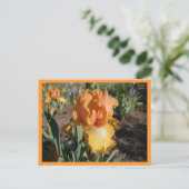 オリンピックの挑戦 ポストカード (スタンド正面)