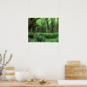 オリンピックの熱帯雨林の床を覆うシダ ポスター (キッチン)