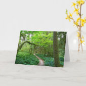 オリンピックナショナルパークの古代のグローブトレイル カード (黄色い花)