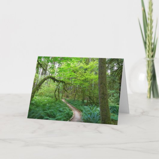 オリンピックナショナルパークの古代のグローブトレイル カード (正面)