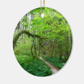 オリンピックナショナルパークの古代のグローブトレイル セラミックオーナメント (左)
