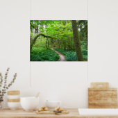 オリンピックナショナルパークの古代のグローブトレイル ポスター (キッチン)