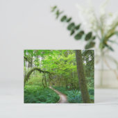 オリンピックナショナルパークの古代のグローブトレイル ポストカード (スタンド正面)