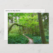 オリンピックナショナルパークの古代のグローブトレイル ポストカード (正面/裏面)