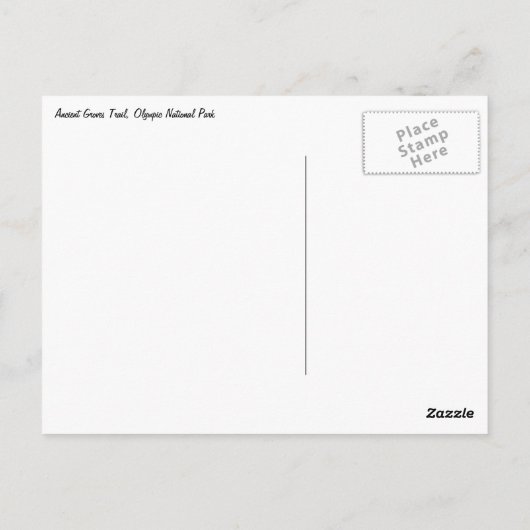 オリンピックナショナルパークの古代のグローブトレイル ポストカード (裏面)