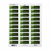 オリンピックナショナルパークの古代のグローブトレイル ラベル (フルシート)