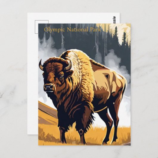 オリンピックナショナルパークバイソンバッファローウォーター色 ポストカード (正面/裏面)
