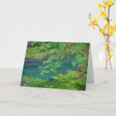 オリンピックナショナルパークワシントン州 カード (黄色い花)