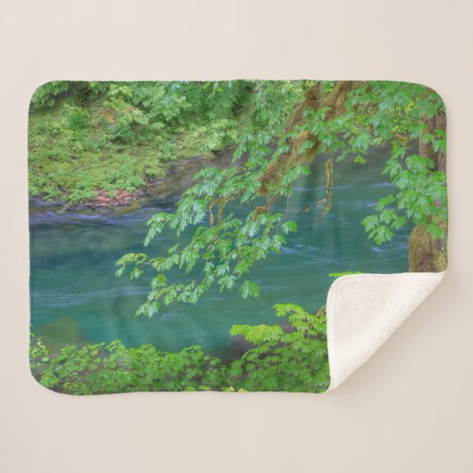 オリンピックナショナルパークワシントン州 シェルパブランケット (正面(横))