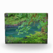 オリンピックナショナルパークワシントン州 フォトブロック (正面)