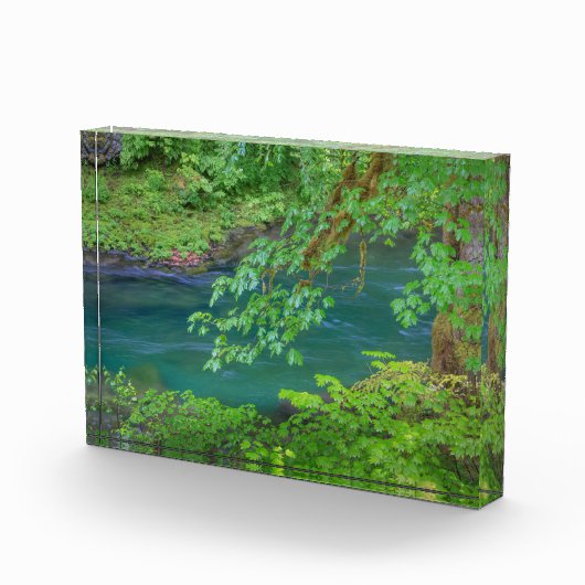 オリンピックナショナルパークワシントン州 フォトブロック (右)