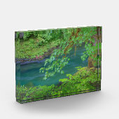 オリンピックナショナルパークワシントン州 フォトブロック (左)