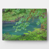 オリンピックナショナルパークワシントン州 フォトプラーク (正面)