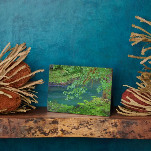 オリンピックナショナルパークワシントン州 フォトプラーク (側面)