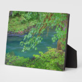 オリンピックナショナルパークワシントン州 フォトプラーク (側面)