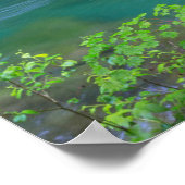 オリンピックナショナルパークワシントン州 ポスター (角)