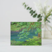 オリンピックナショナルパークワシントン州 ポストカード (スタンド正面)