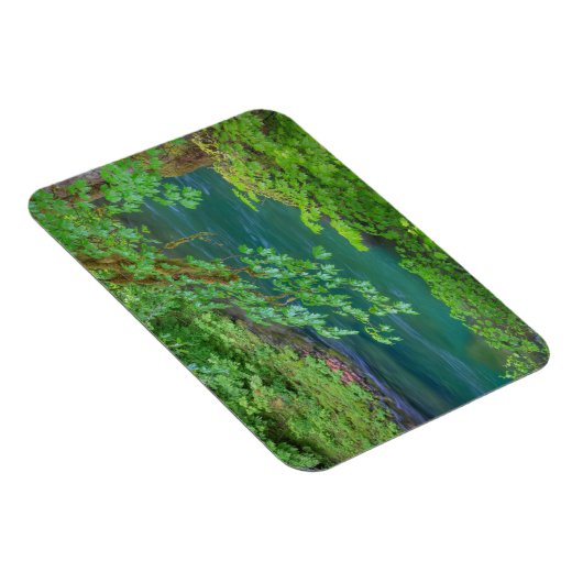 オリンピックナショナルパークワシントン州 マグネット (右側)