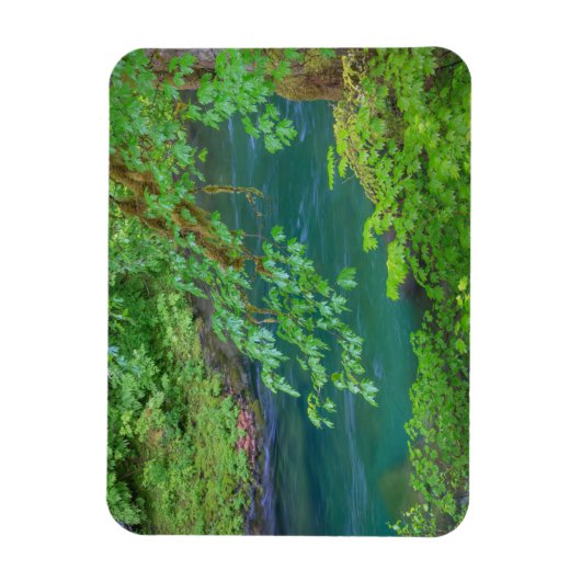 オリンピックナショナルパークワシントン州 マグネット (縦)