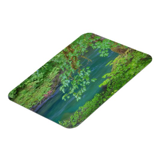 オリンピックナショナルパークワシントン州 マグネット (左側)