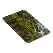 オリンピックナショナルパークワシントン州 マグネット (右側)