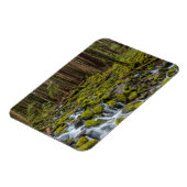 オリンピックナショナルパークワシントン州 マグネット (左側)