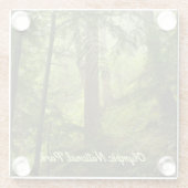 オリンピックナショナルパーク熱帯雨林写真 ガラスコースター (裏面)