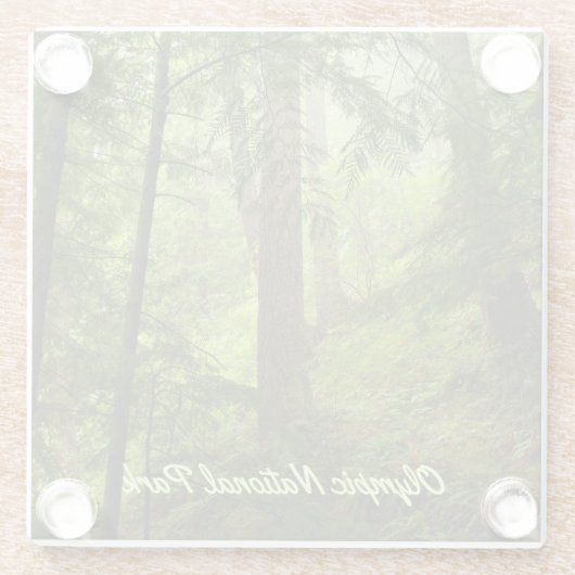 オリンピックナショナルパーク熱帯雨林写真 ガラスコースター (裏面)