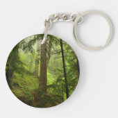 オリンピックナショナルパーク熱帯雨林写真 キーホルダー (裏面)