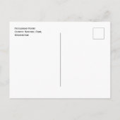 オリンピックナショナルパークFiddlemhead Fern ポストカード (裏面)