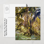 オリンピックナショナル・パーク，コーストレイルのホール ポストカード (正面/裏面)