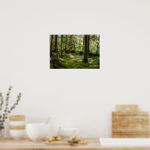 オリンピックペニンシュラレインフォレスト ポスター (キッチン)