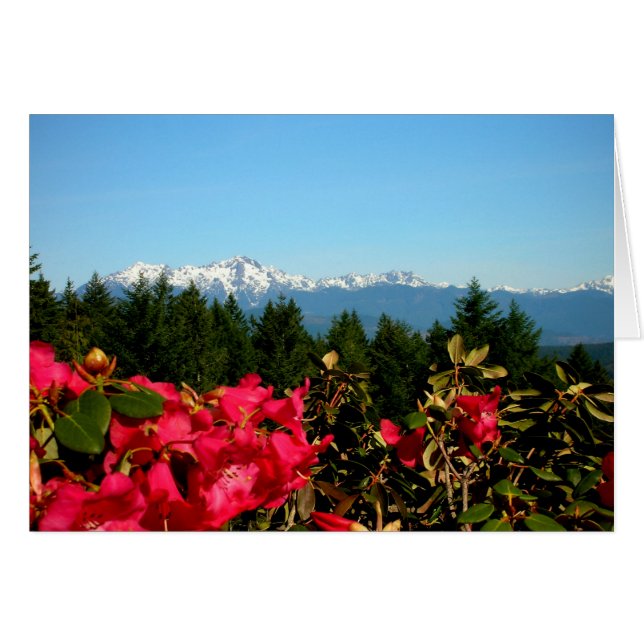 オリンピックマウンテンズとロドデノロン (正面横)