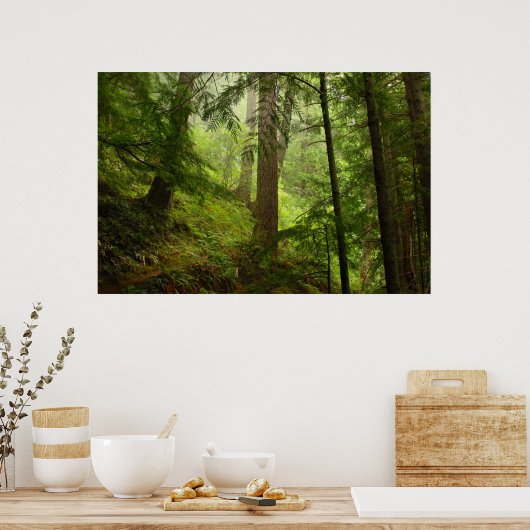 オリンピックレインフォレストエバーゲンスとミストフォト ポスター (キッチン)