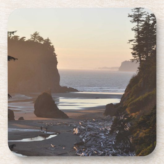 オリンピック半島のルビー色のビーチ、ワシントン州St コースター (正面)