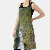 オリンピック国有林の滝 エプロン (インサイチュ)