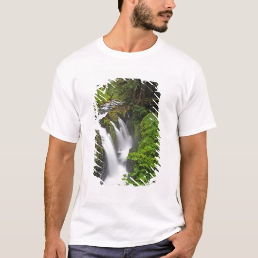 オリンピック国立公園のソル・デューク滝で Tシャツ (正面)
