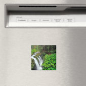 オリンピック国立公園内のソルダック秋 マグネット (インサイチュ (食洗機))