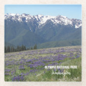 オリンピック国立公園山とメドウズ ガラスコースター (正面)