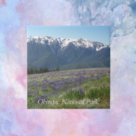 オリンピック国立公園山とメドウズ タイル