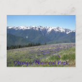 オリンピック国立公園山とメドウズ ポストカード (正面)