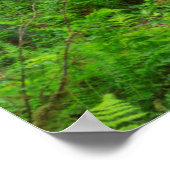 オリンピック国立公園森林歩道 ポスター (角)