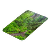 オリンピック国立公園森林歩道 マグネット (左側)