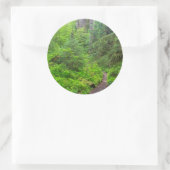 オリンピック国立公園森林歩道 ラウンドシール (バッグ)