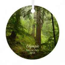 オリンピック国立公園雨林の写真