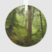 オリンピック国立公園雨林 オーナメント (裏面)