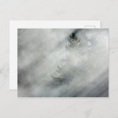 オリンピック国立公園 |ホー川渓谷 ポストカード (正面/裏面)