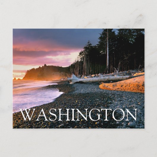 オリンピック国立公園 | ワシントン州の誕生日 ポストカード (正面)