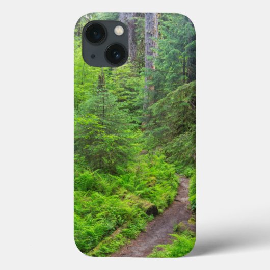 オリンピック国立公園、森林道路 Case-Mate iPhoneケース (裏面)