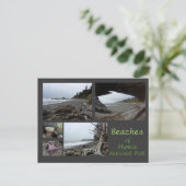 オリンピックN.P. (ビーチ – カラロチ、リアルト、ビーチ4) ポストカード (スタンド正面)